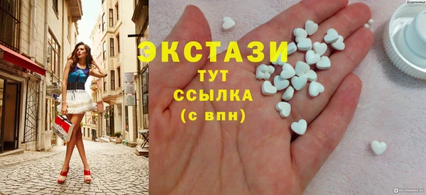 индика Дмитров