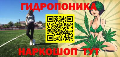 прущие крисы Моздок