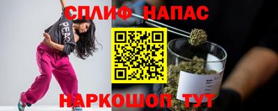 шишки Можайск