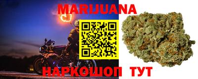 прущие крисы Моздок